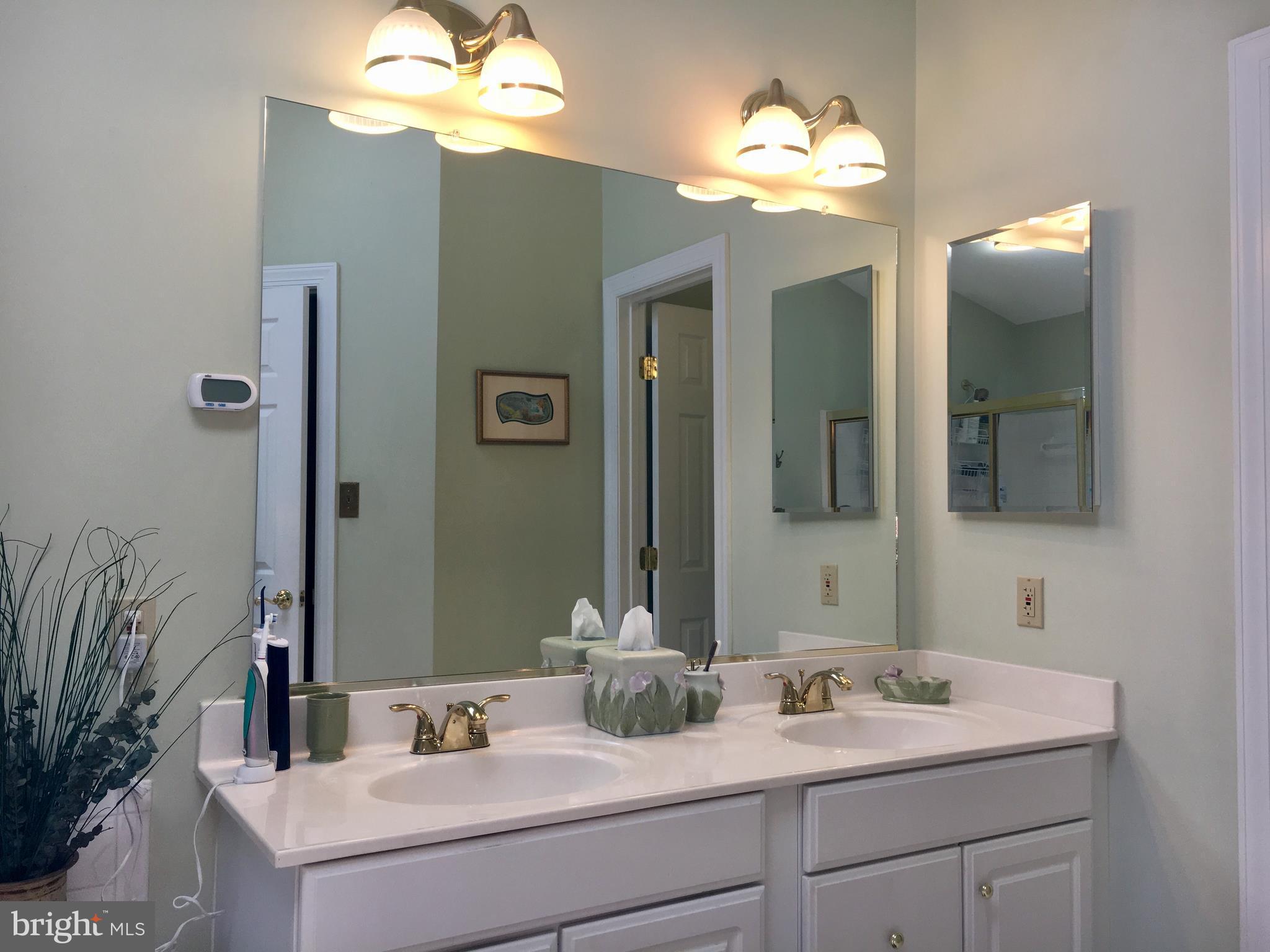 14205 Plum Run Way Silver Spring, MD 20906 - Photo 19 of 29 Double vanity w/updated hardware & lighting