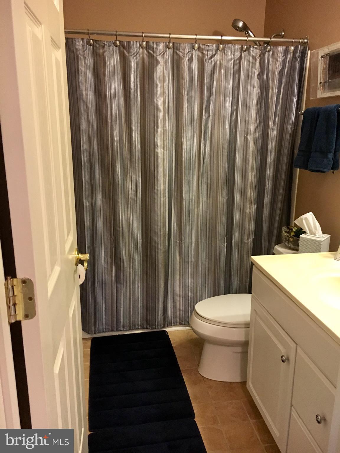 14205 Plum Run Way Silver Spring, MD 20906 - Photo 22 of 29 Upstairs hall bath