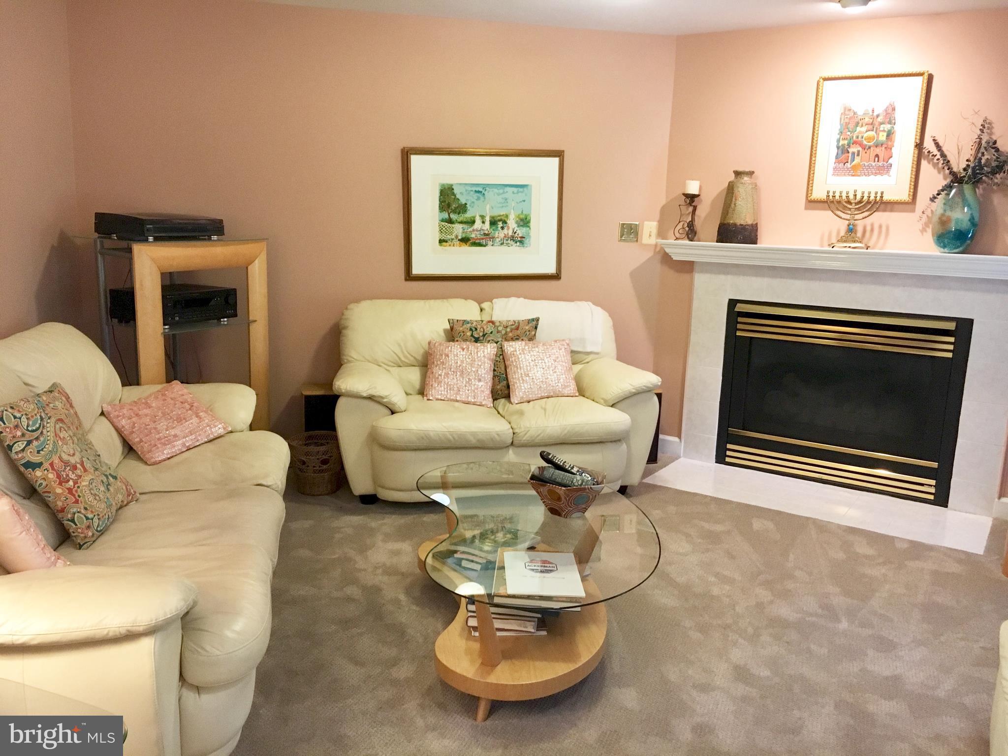 14205 Plum Run Way Silver Spring, MD 20906 - Photo 4 of 29 Gas FP & recent carpet!