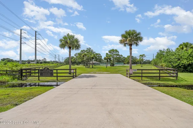 a view of a park with large trees