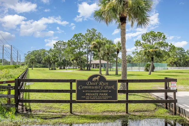 a view of a park with large trees
