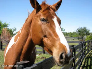 a view of a city and an ocean