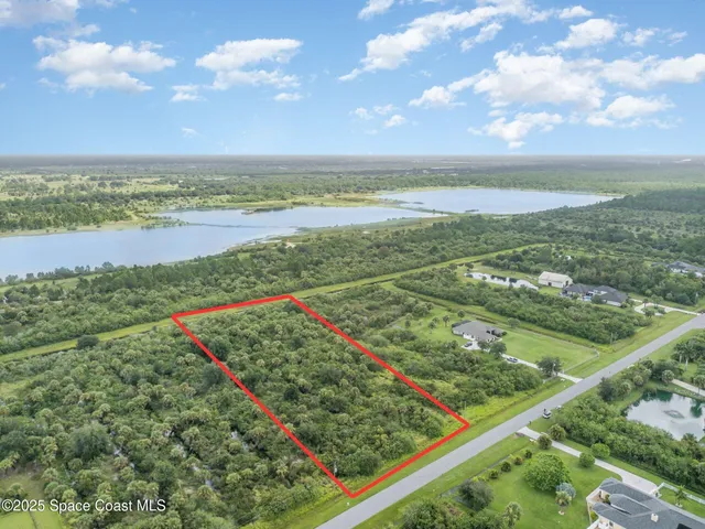 a view of a park with large trees