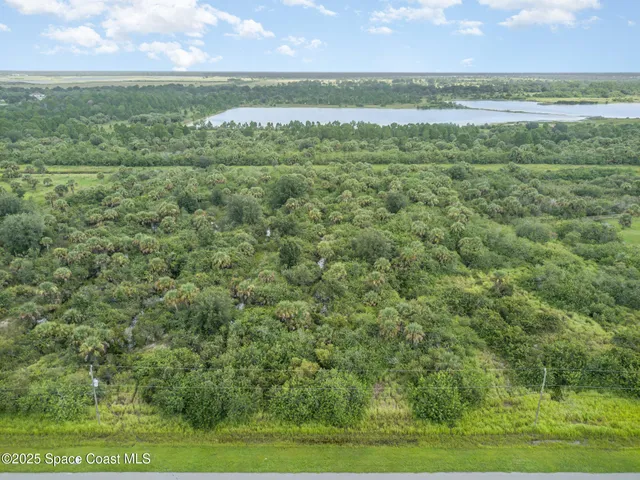 a view of a field with an ocean