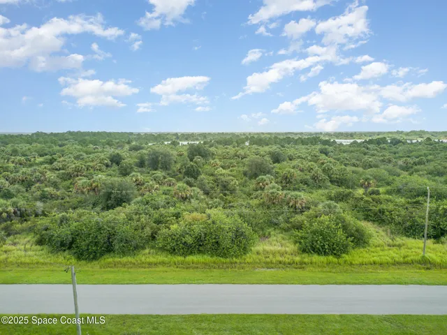 a view of a big yard