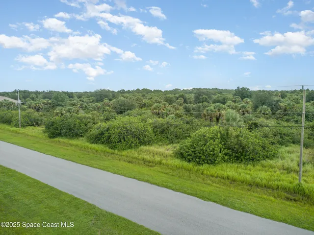 a view of a big yard with potted plants and big trees