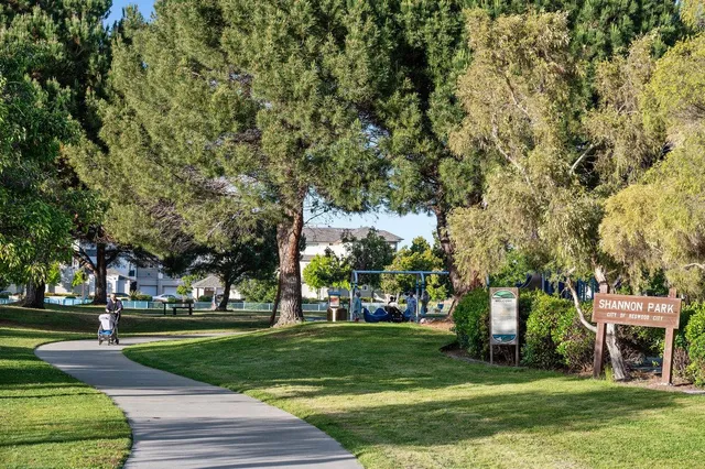 a view of a park with swings and slides