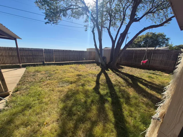 a view of a yard with a large tree