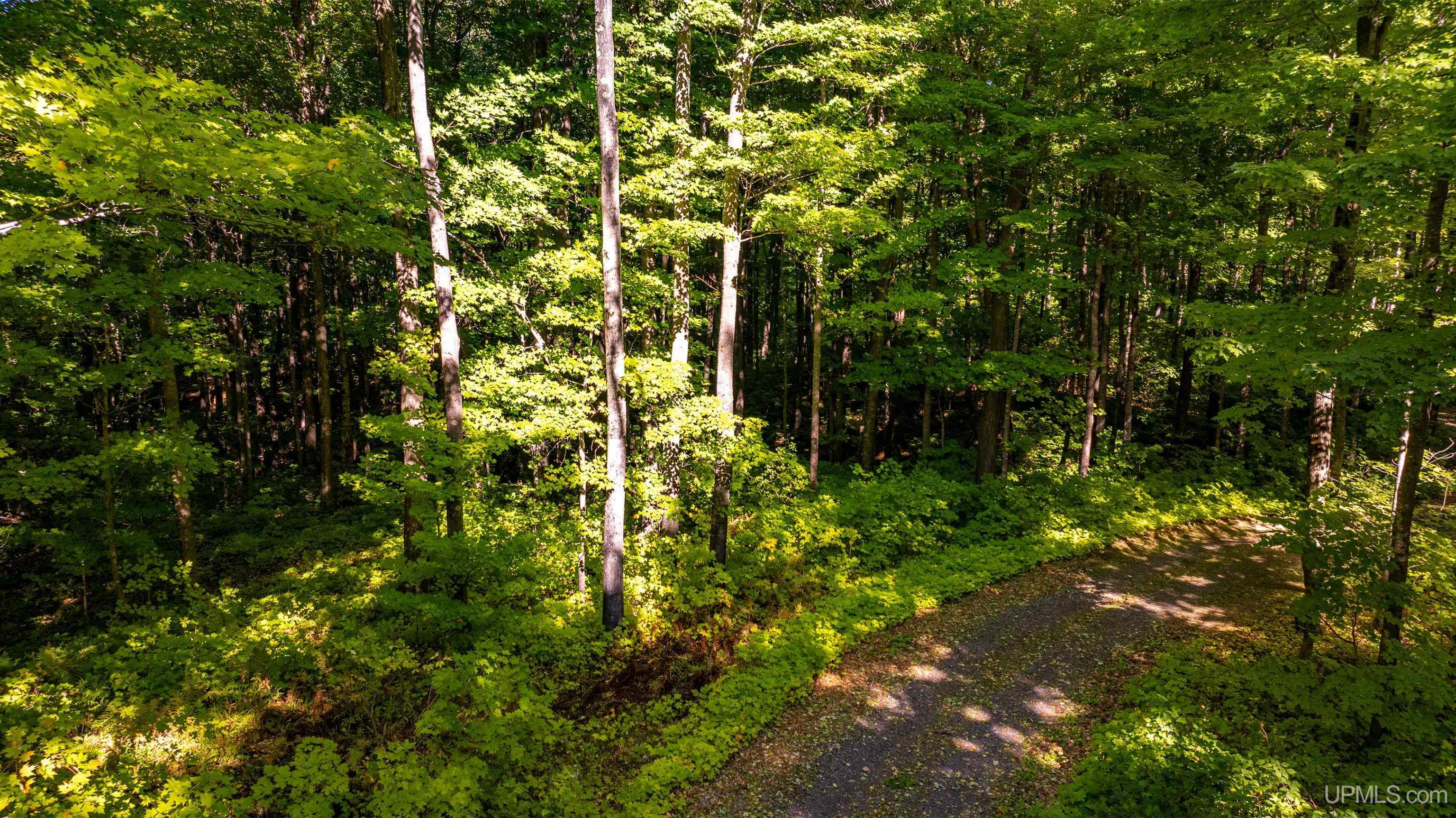 9 Redridge Creek Road Atlantic Mine, MI 49905 - Photo 6 of 27