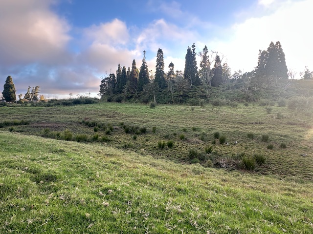 19-5830 Mahiai Road Volcano, HI 96785 - Photo 1 of 4 a view of a field with trees in background