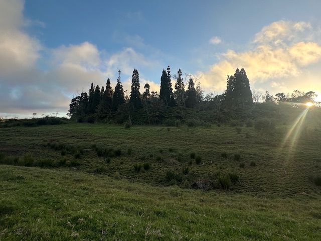 19-5830 Mahiai Road Volcano, HI 96785 - Photo 4 of 4 a view of a city