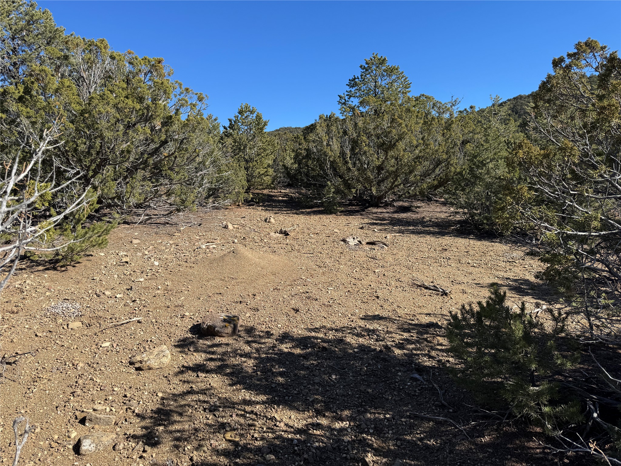 4 Verde Road Taos, NM 87571 - Photo 6 of 16