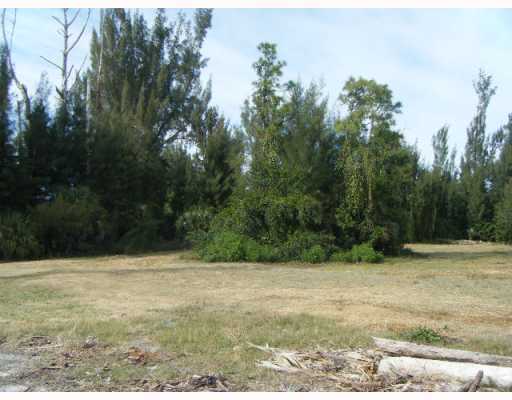 0 Biddex Road Loxahatchee, FL 33470 - Photo 2 of 8 Additional Photo
