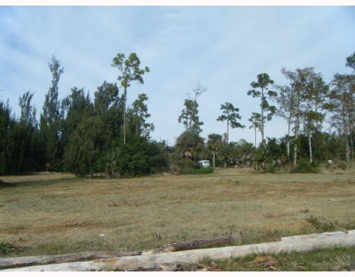 0 Biddex Road Loxahatchee, FL 33470 - Photo 3 of 8 Additional Photo