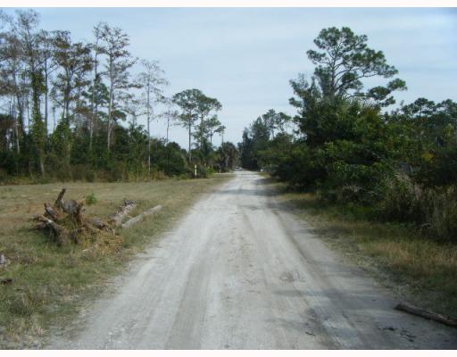 0 Biddex Road Loxahatchee, FL 33470 - Photo 4 of 8 Additional Photo