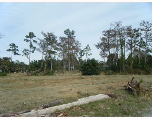 0 Biddex Road Loxahatchee, FL 33470 - Photo 7 of 8 Additional Photo