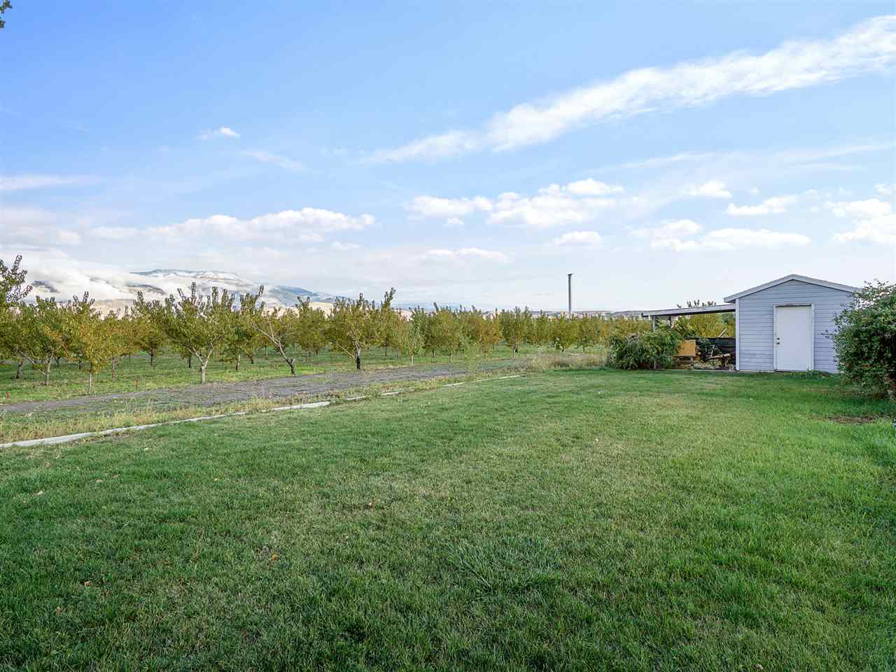 3507 G Road Palisade, CO 81526 - Photo 25 of 42 a view of a lush green field