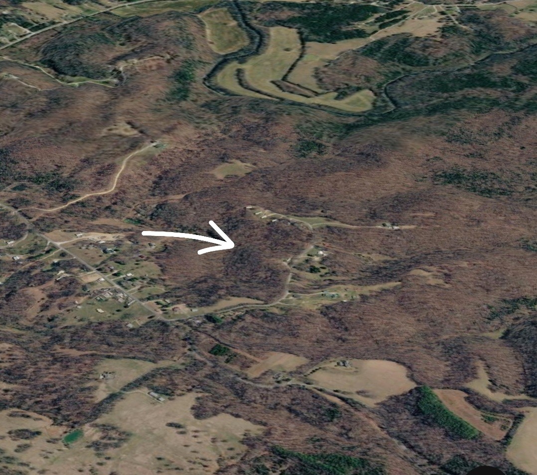 1 Baptist Church Road Culleoka, TN 38451 - Photo 3 of 11 a view of lot of trees