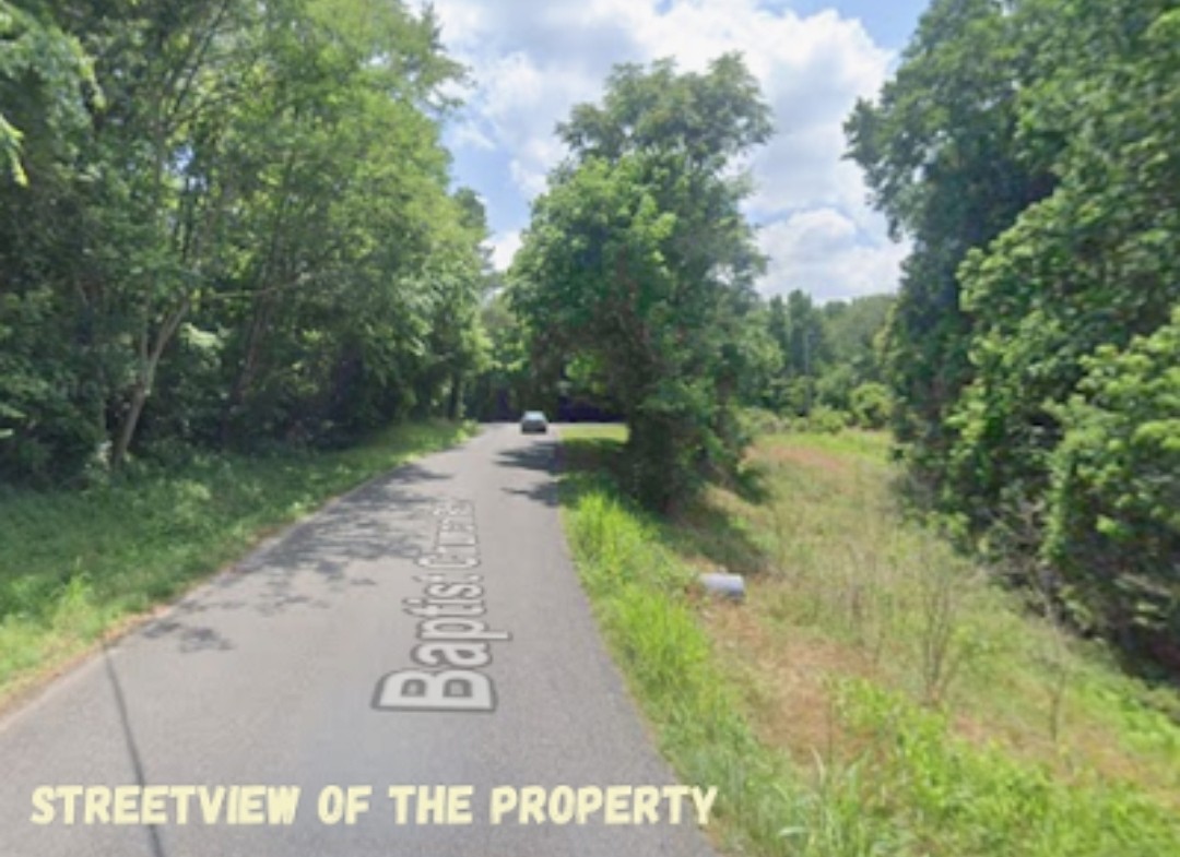 1 Baptist Church Road Culleoka, TN 38451 - Photo 4 of 11 a view of a park with trees