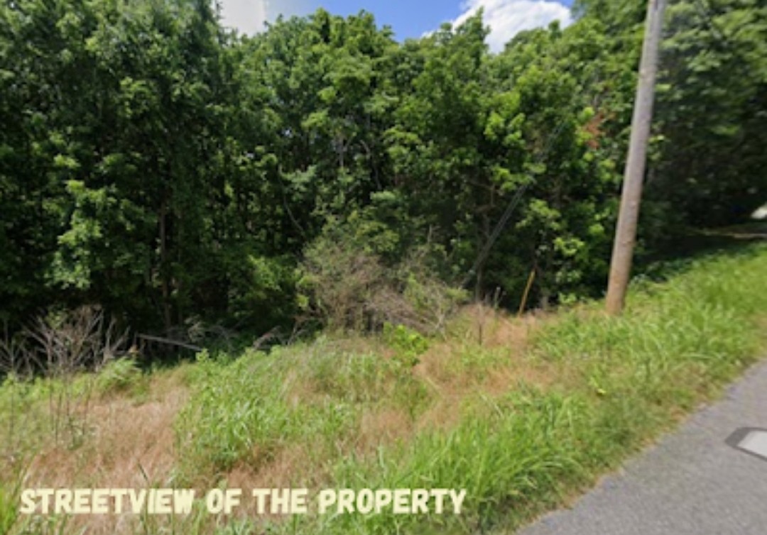 1 Baptist Church Road Culleoka, TN 38451 - Photo 5 of 11 a view of outdoor space and yard