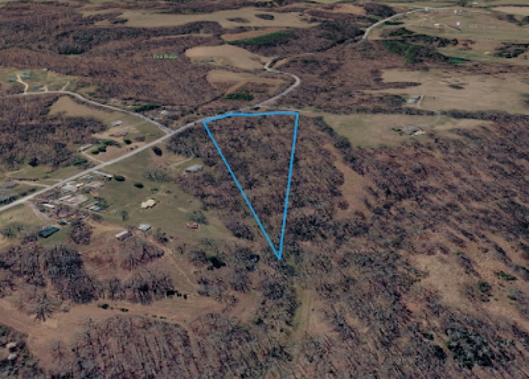 1 Baptist Church Road Culleoka, TN 38451 - Photo 8 of 11 a view of a backyard with trees