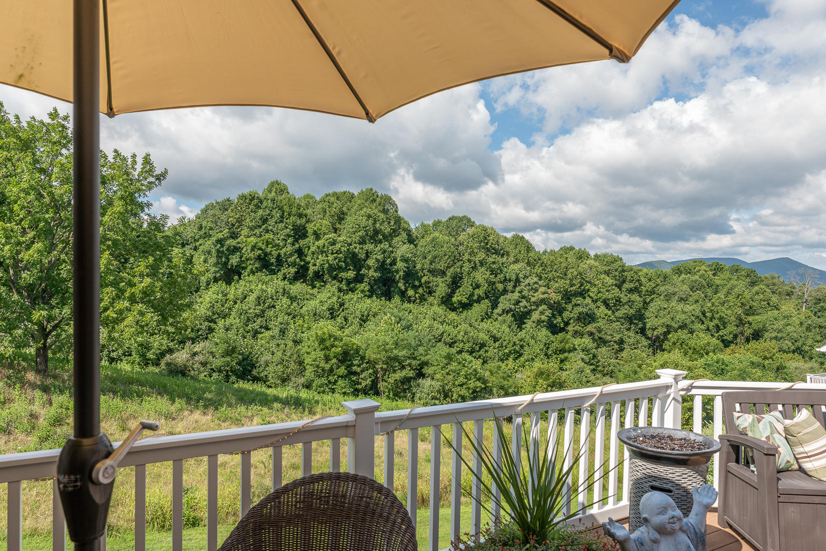 116 Summit Ridge Road Daleville, VA 24083 - Photo 76 of 83 untitled (77 of 84)