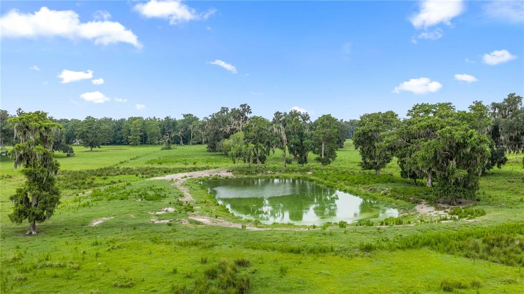 774 County Road Webster, FL 33597 - Photo 2 of 18 Gallery Image 2