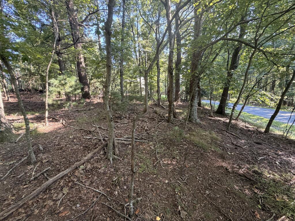 Tbd Cascade Trail, Unit 13 Fancy Gap, VA 24328 - Photo 3 of 19 Gallery Image 3