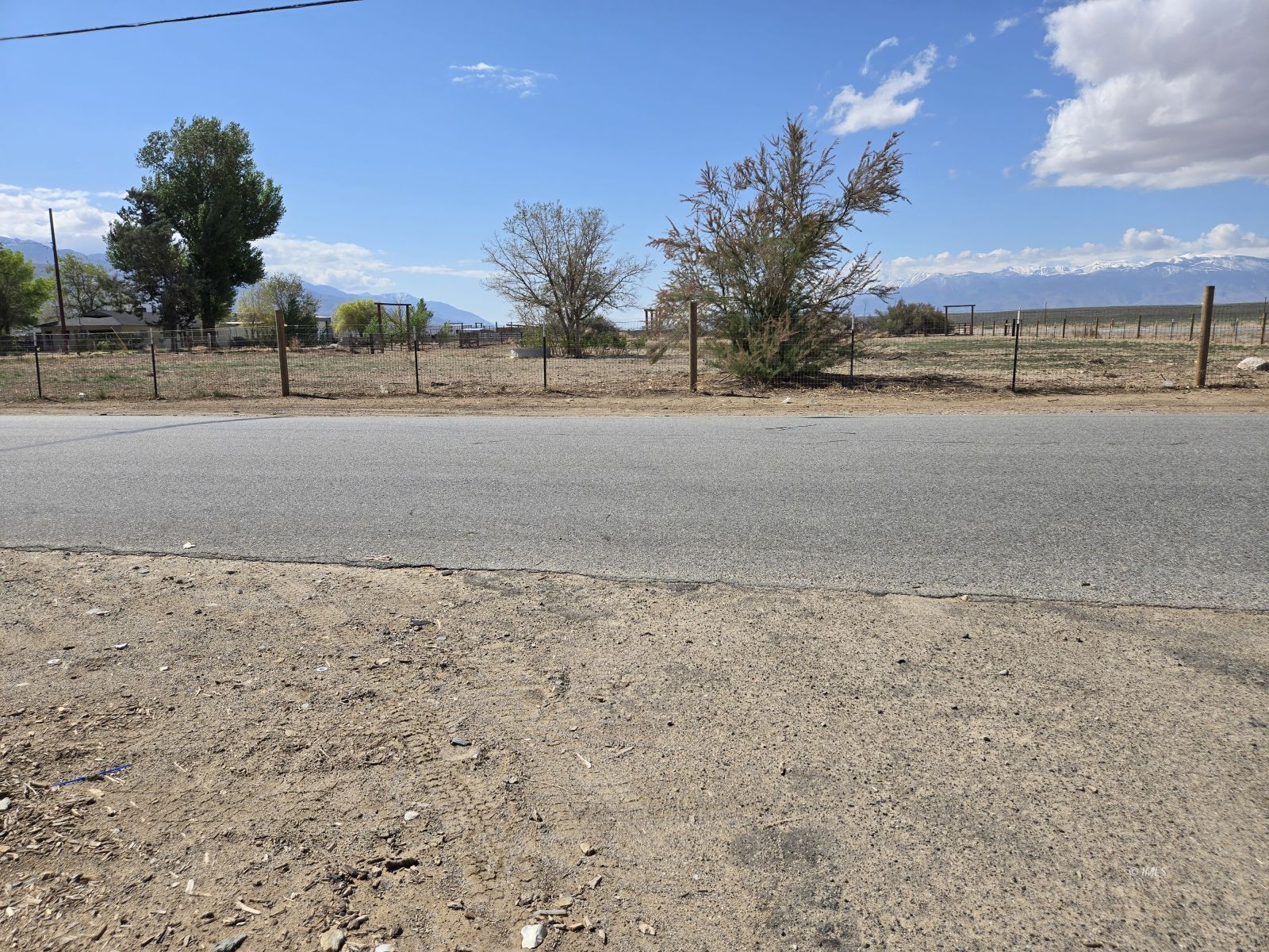 39 Hunter Avenue Bishop, CA 93514 - Photo 3 of 20 a view of a yard