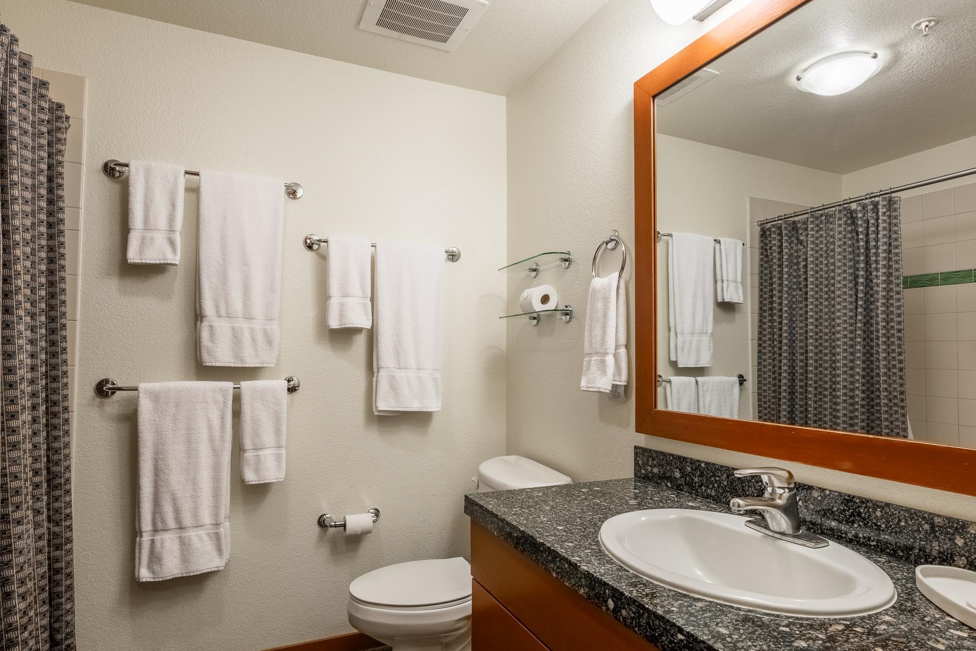 6201 Minaret Road, Unit 2220 Mammoth Lakes, CA 93546 - Photo 13 of 14 a bathroom with a sink toilet and shower