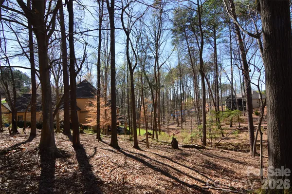 a view of a pathway with a tree