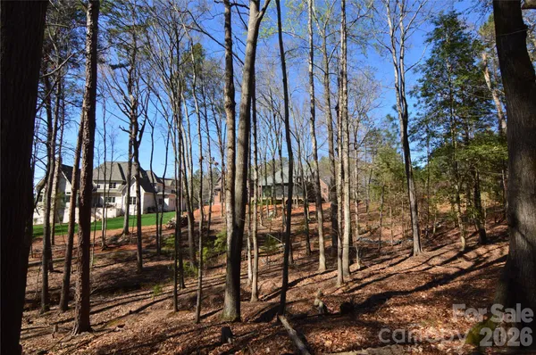 a view of a yard with plants and trees