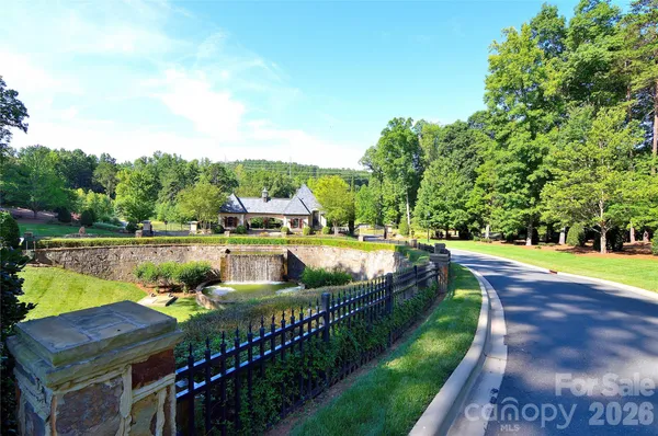 a view of a yard with a large tree