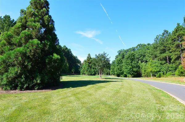a view of a big yard with a lawn chairs and plants