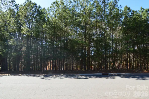 a view of road and trees
