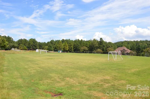 a view of a park with large trees