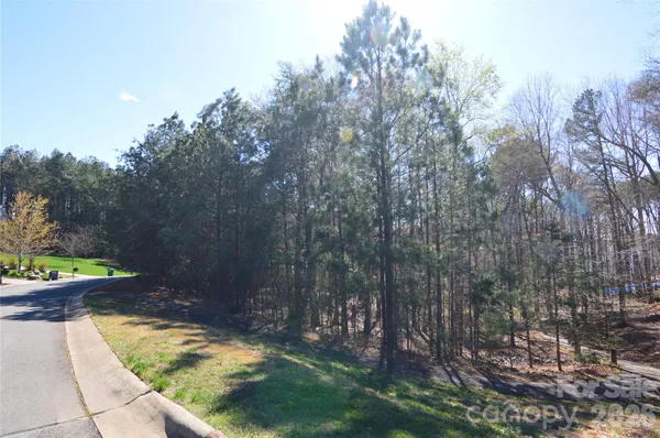 a view of outdoor space with lots of trees