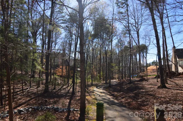 a view of a forest filled with trees