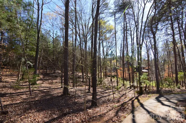 a view of outdoor space with lots of trees