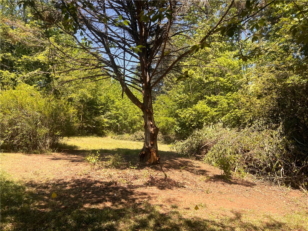 A tranquil lot awaits your vision, surrounded by lush, vibrant greenery.