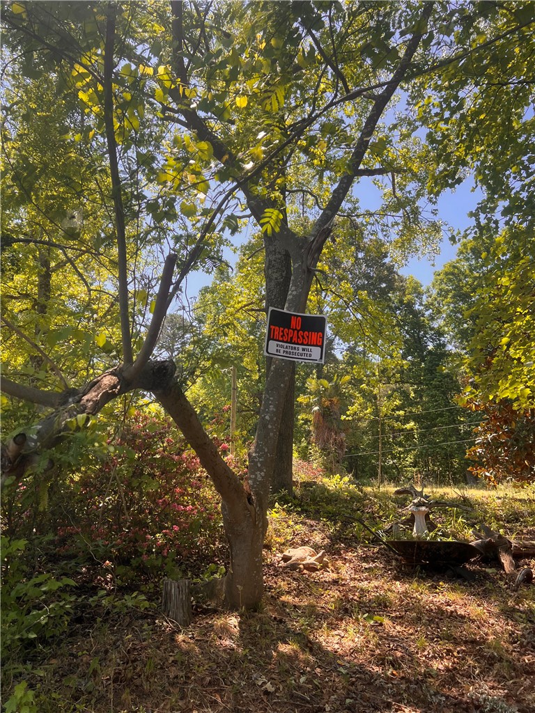 284 State Rd S-37-138 Fair Play, SC 29643 - Photo 15 of 15