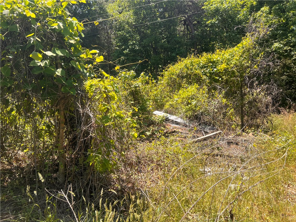 284 State Rd S-37-138 Fair Play, SC 29643 - Photo 7 of 15