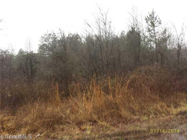 5142 Cumby Road Trinity, NC 27370 - Photo 4 of 4 Land.