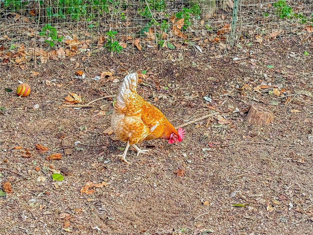 377 Oldstone Court Simi Valley, CA 93065 - Photo 34 of 44 a view of a backyard