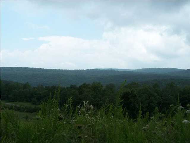 35 Bear Pen Road Whitwell, TN 37397 - Photo 1 of 7 Primary Photo