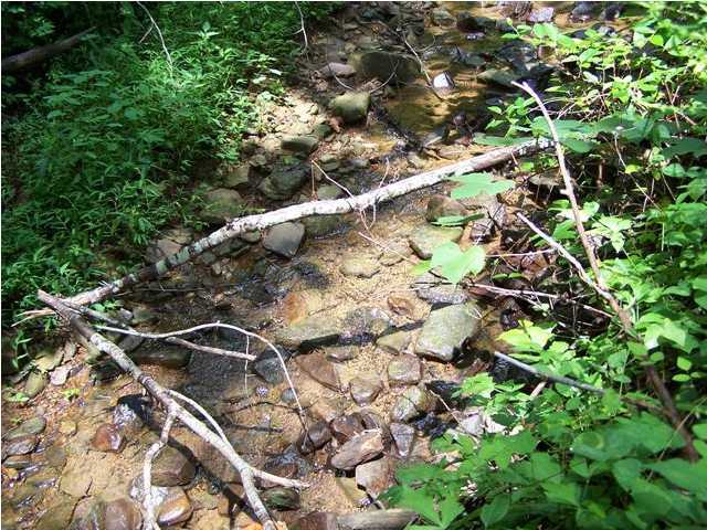 35 Bear Pen Road Whitwell, TN 37397 - Photo 3 of 7 Additional Photo