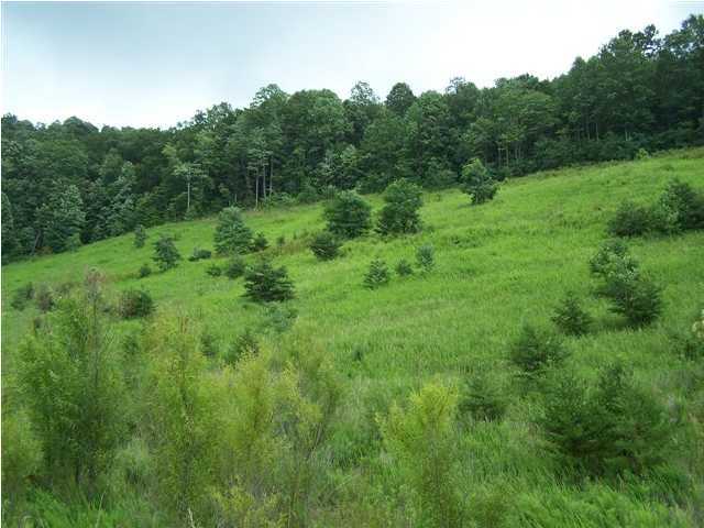 35 Bear Pen Road Whitwell, TN 37397 - Photo 4 of 7 Additional Photo