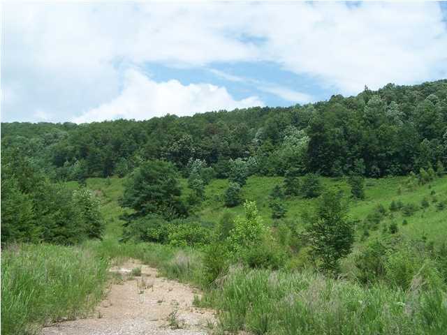 35 Bear Pen Road Whitwell, TN 37397 - Photo 5 of 7 Additional Photo