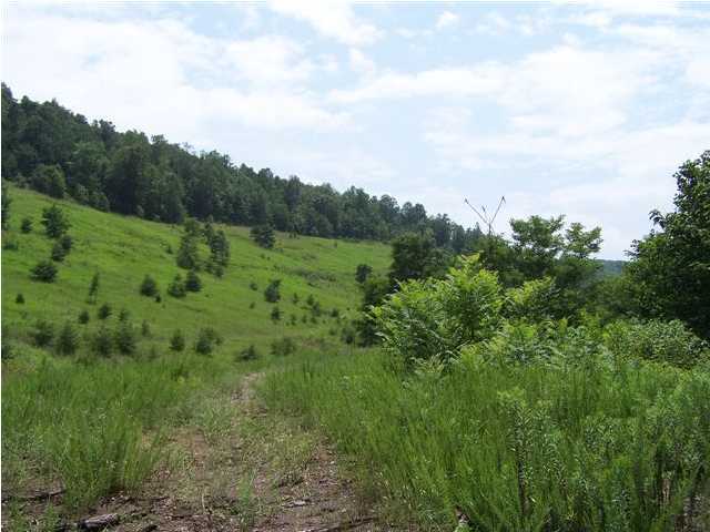 35 Bear Pen Road Whitwell, TN 37397 - Photo 7 of 7 Additional Photo