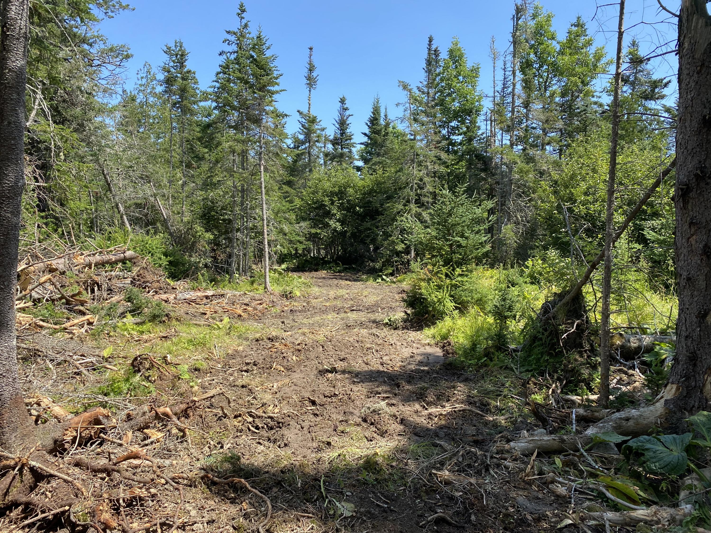 25-21 Ryder Road Islesboro, ME 04848 - Photo 3 of 27 Path